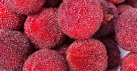 Berry Fruit Wax